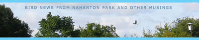 Nahanton Park Blog