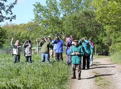 Photograph of a Birdwalk led by Alison Leary